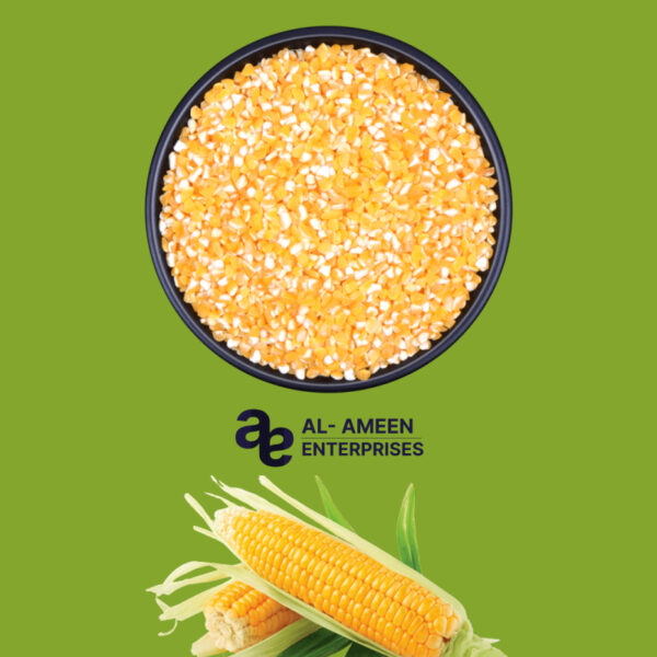 Premium Indian Corn (Maize) Exporter Indian Top Quality - Al Ameen Enterprises