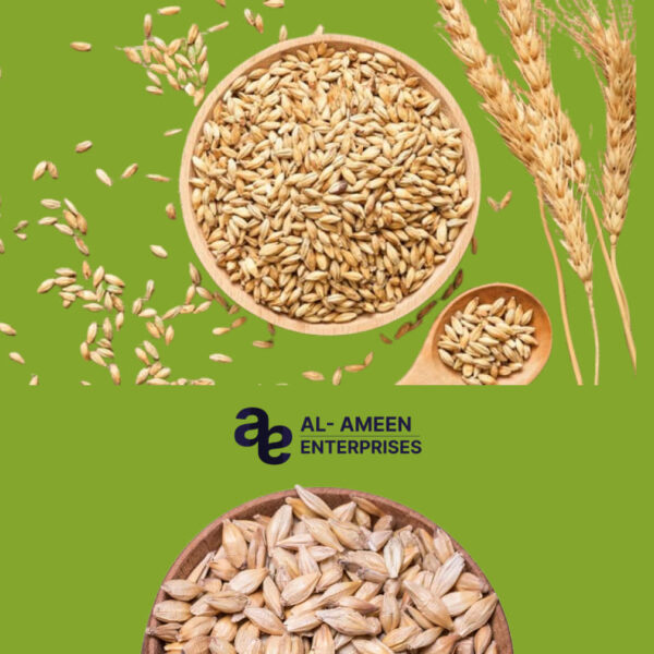 Premium Sustainably Grown Barley from Al Ameen Enterprises