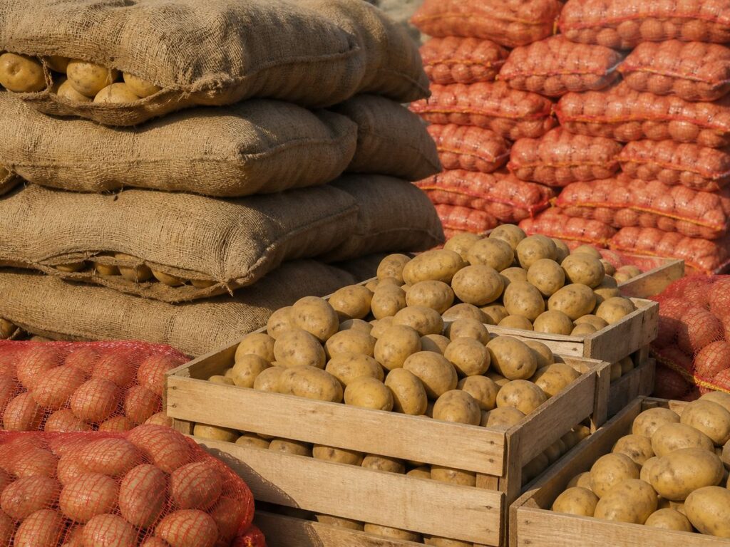 Potato